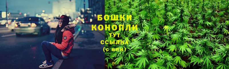 Марихуана LSD WEED  где найти наркотики  Ковдор 